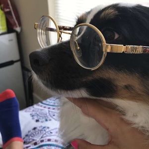 Meet your Posher, Minnie